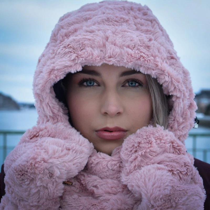 The Winter Hood 1 The Winter Hood